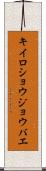 キイロショウジョウバエ Scroll