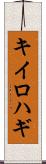 キイロハギ Scroll
