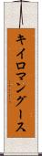 キイロマングース Scroll