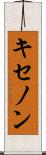 キセノン Scroll