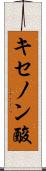 キセノン酸 Scroll