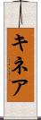 キネア Scroll
