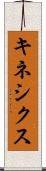 キネシクス Scroll