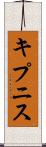 キプニス Scroll