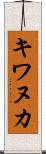 キワヌカ Scroll