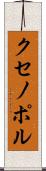 クセノポル Scroll