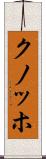 クノッホ Scroll
