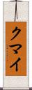 クマイ Scroll