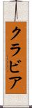 クラビア Scroll