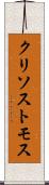 クリソストモス Scroll