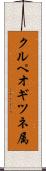 クルペオギツネ属 Scroll