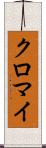 クロマイ Scroll