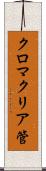 クロマクリア管 Scroll