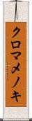 クロマメノキ Scroll