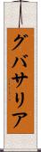 グバサリア Scroll