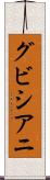 グビシアニ Scroll