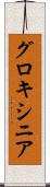 グロキシニア Scroll