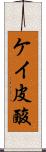 ケイ皮酸 Scroll