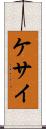 ケサイ Scroll