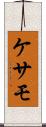 ケサモ Scroll