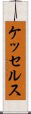ケッセルス Scroll