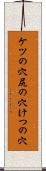 ケツの穴 Scroll