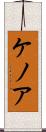 ケノア Scroll