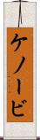ケノービ Scroll