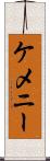 ケメニー Scroll