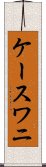 ケースワニ Scroll