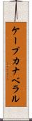 ケープカナベラル Scroll