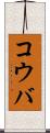 コウバ Scroll