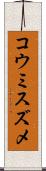 コウミスズメ Scroll