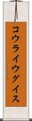 コウライウグイス Scroll