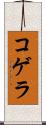 コゲラ Scroll