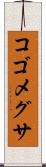 コゴメグサ Scroll