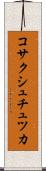 コサクシュチュツカ Scroll