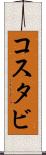 コスタビ Scroll
