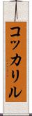 コッカリル Scroll