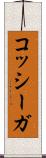 コッシーガ Scroll