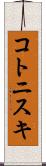 コトニスキ Scroll