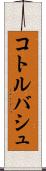 コトルバシュ Scroll