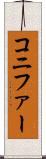コニファー Scroll