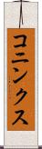 コニンクス Scroll