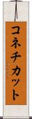 コネチカット Scroll