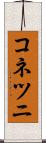 コネツニ Scroll