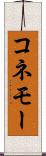 コネモー Scroll