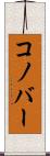 コノバー Scroll
