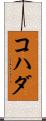コハダ Scroll