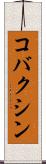 コバクシン Scroll
